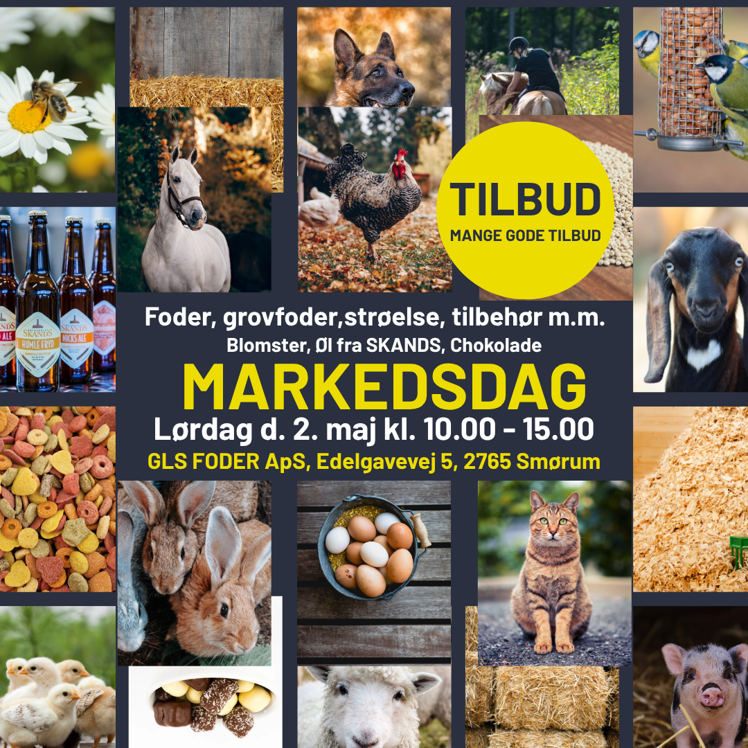 🎉 SÅ ER DER MARKEDSDAG! 🎉

Kom og vær med til en hyggelig dag fyldt med gode tilbud, oplevelser og lidt ekstra forkælelse 🐴🌸

Vi har fyldt butikken med skarpe tilbud til din hest – og alle de andre dyr:

✨ 20% på Saracen Horse Feeds + GRATIS høpose
✨ En hel palle med “først til mølle”-tilbud – når det er væk, er det væk!
✨ Masser af lækre hestebolsjer fra HesteSnacks 🍬
– perfekt hvis du ikke skal på Roskilde Dyrskue, hvor du ellers finder os på stand 564

🐎 GRATIS ridning på vores bane
For både børn og voksne kl. 11.00 – 13.00

🔥 NYHED – INTROTILBUD 🔥
Foderhuse til kun 5.500 kr. (afhentet på pladsen)
Normalpris: 6.000 kr.

☀️ Sommeren er på vej!
Derfor har vi også:
🍫 Lækkert chokolade
🍺 Øl fra Skands
🌼 Smukke blomster til haven

🌭 FREMVIS DIN BON
– og få en GRATIS pølse med brød
(Sodavand kan tilkøbes)

Tag familien med og kig forbi – vi glæder os til at se jer til en skøn markedsdag! 🎈